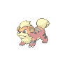 Mystic Growlithe